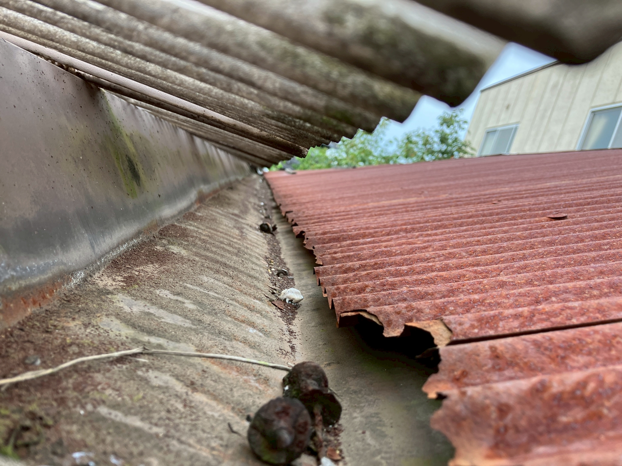 釘の頭が取れて溜まっている